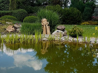 /album/sochy/fb-img-1731930583399-jpg1/